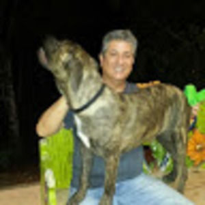 Meet your Posher, Jose